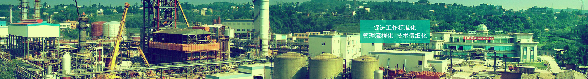 伟德体育股份产品展示